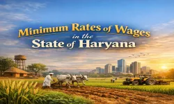Minimum rates of wages in the State of Haryana