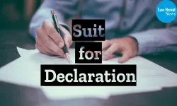   Suit for Declaration -- Documents as Foundation of Litigation