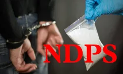  Narcotic Drugs and Psychotropic Substances -- Recovered Substance Found to be Bhang -- Conviction not sustainable as Bhang excluded from definition of cannabis