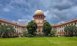  Release of Vehicles -- Sapurdari-- Registration Certificate in Name of Claimant -- Not by itself determinative of entitlement to interim possession