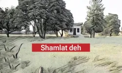  Shamilat Deh -- Absence of Partition Before Cut-off Date -- Vests in Gram Panchayat