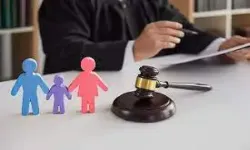 Custody of Minor Child -- Substantial Prayer for Interim Custody -- Must Be Decided Before Alternative Prayer