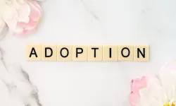  Adoption -- Biological Father Adopting Own Illegitimate Child -- Not statutorily prohibited
