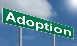  Adoption -- Ceremony of Giving and Taking Not Recited in Deed -- Adoption deed silent on mandatory ceremony rightly cancelled